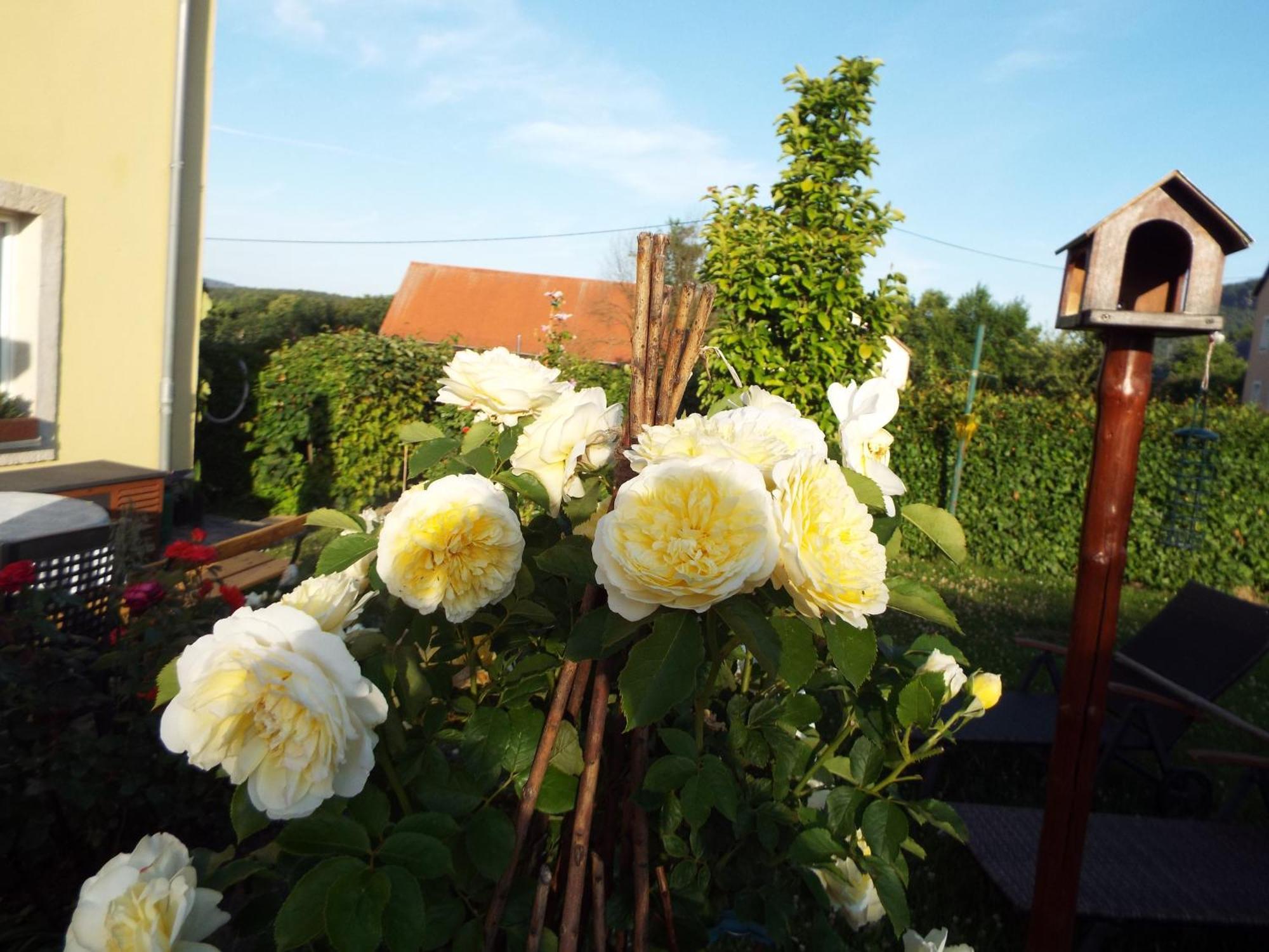 Ferienwohnung Lindemann Weissig  Exterior foto